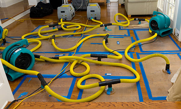 Professional Crawl Space Water Removal technician working in Waldron, MO